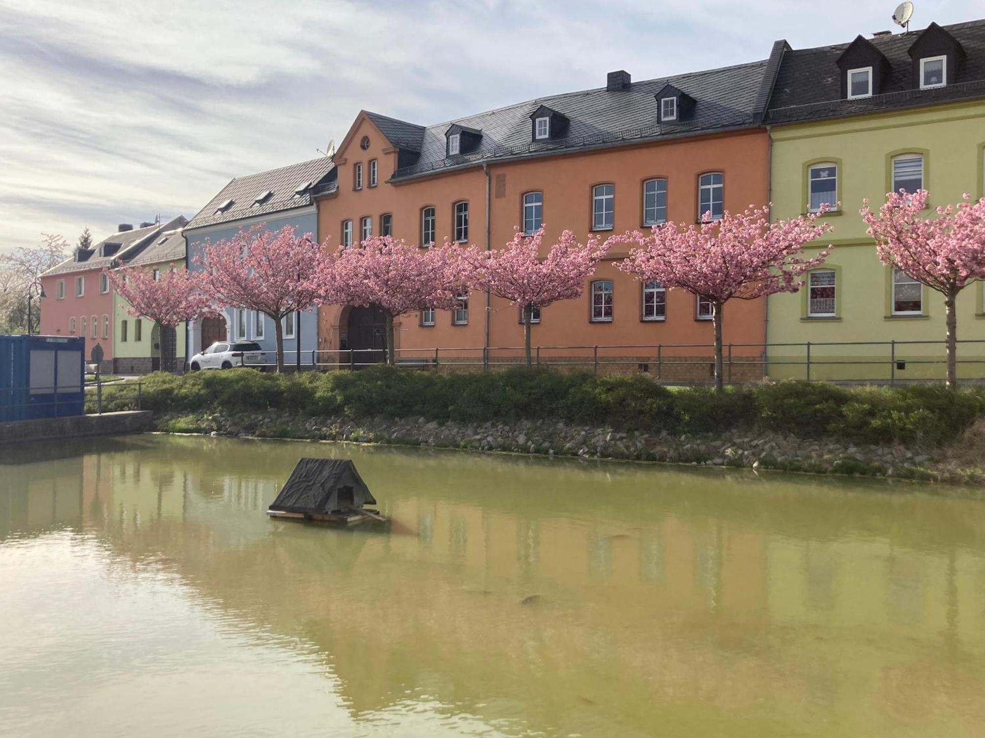Pension Und Ferienwohnung Am Teich Schleiz Luaran gambar