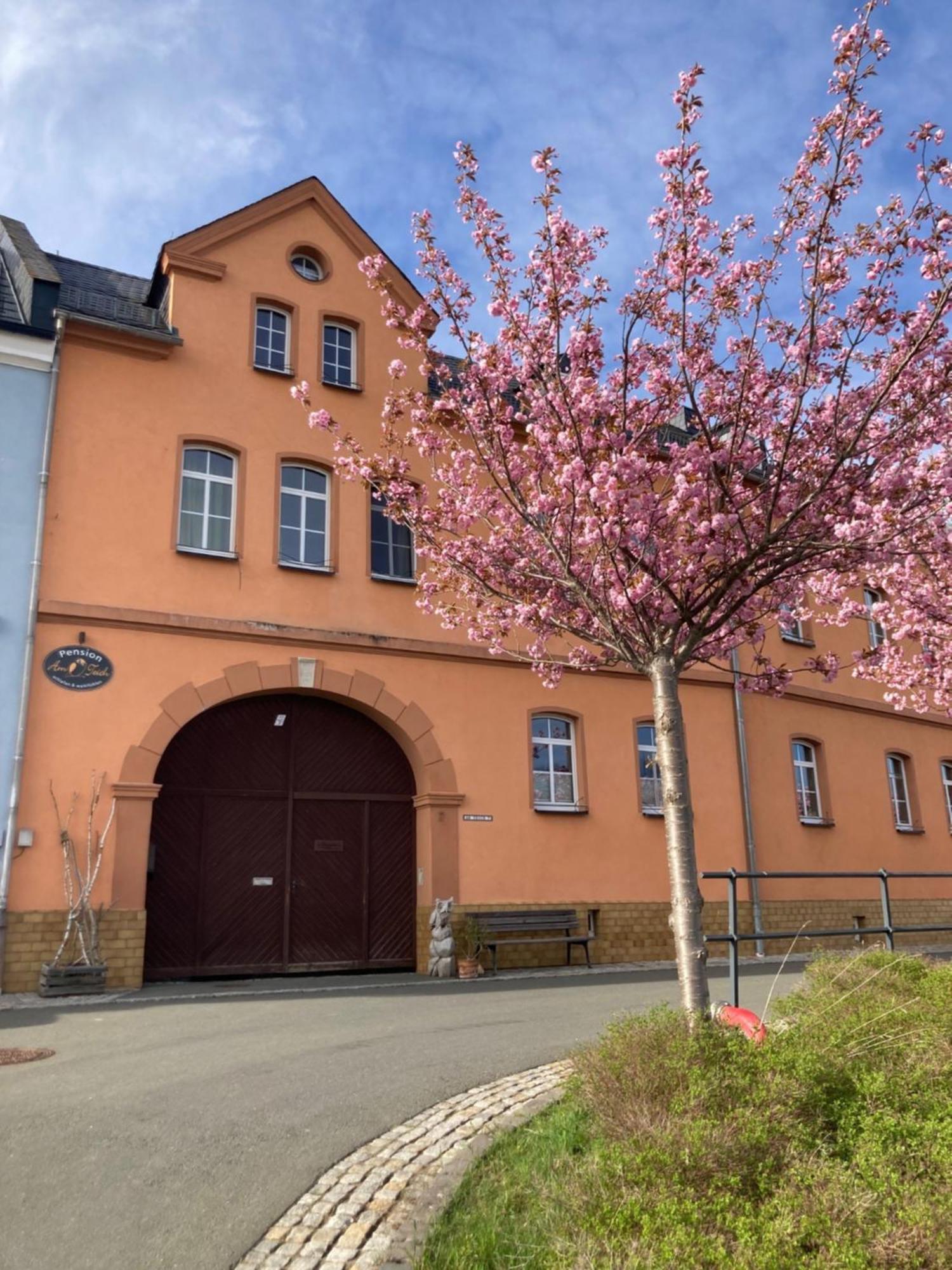 Pension Und Ferienwohnung Am Teich Schleiz Luaran gambar
